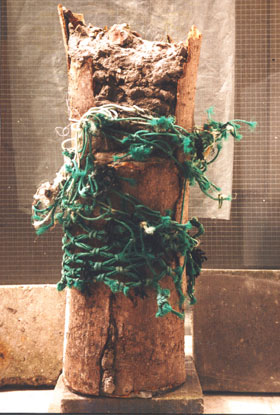 CITY TREE - 1995 - bark, cement, green fishing net - height 90 cm. Sacrificed to the city